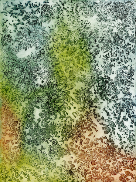 Leaf Lichen