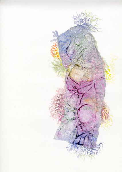 Rainbow Lichen 1/1