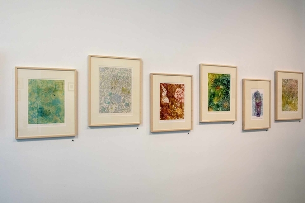 Symbiotia Core Exhibit 03