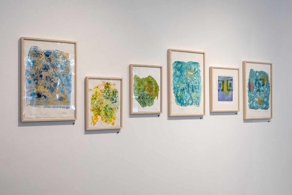 Symbiotica Exhibit Core Gallery 2024