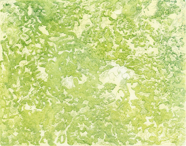 Symbiotica Hidden