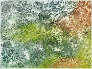 Symbiotica: Lichen Variation